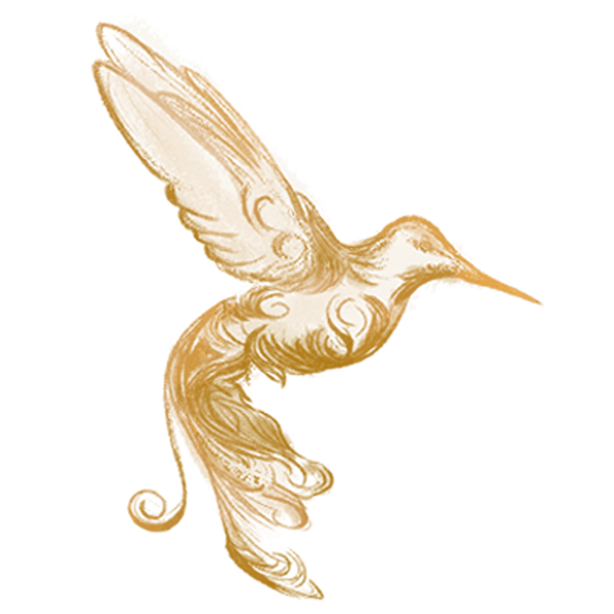 Colibrí